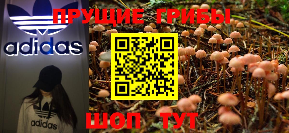 Псилоцибиновые грибы Cubensis  Вход с VPN  Галлюциногенные грибы Cubensis  Белореченск 