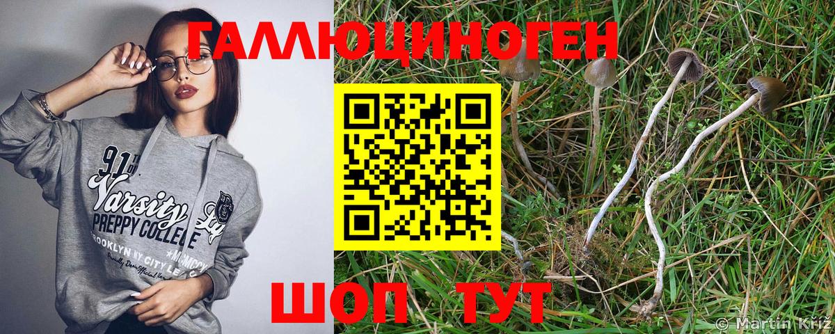 Галлюциногенные грибы мухоморы Белореченск